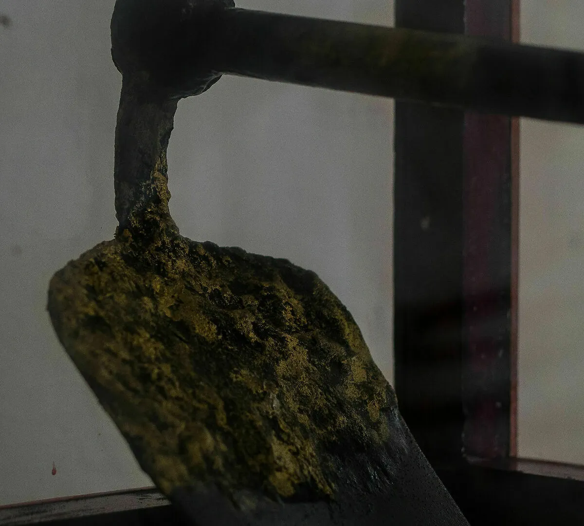 Niyati - Boutique Stay Kochi